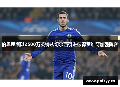 伯恩茅斯以2500万英镑从切尔西引进彼得罗维奇加强阵容